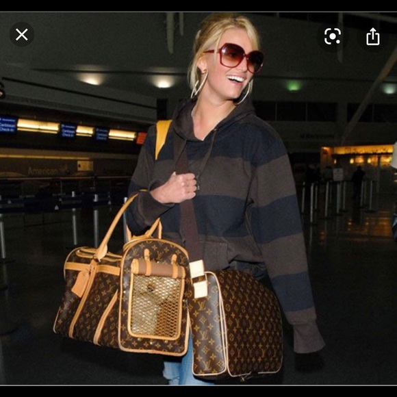 Louis Vuitton Other - AUTHENTIC LOUIS VUITTON PET CARRIER 40 CELEB FAV